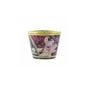 Shunga Bougie Massage 170ml Fraise .