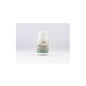 Sotya Antioxidante 500mg 100comp 100comp