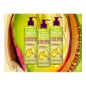 Garnier Fructis Nutri Curls No Rinse Cream 400ml