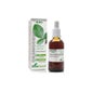 Extracto Desmodens Xxi Soria Natural *