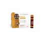 Marnys Jalea Real Mega 2000 20 Ampoules