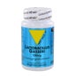 Vit All+ Lactobacillus Gasseri 60 Gélules