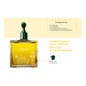 René Furterer Head Spa Complexe 5 Concentré Végétal Stimulant 50ml