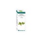 Huile Essentielle Bio Citronnelle 10 Ml.