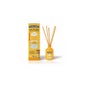 Désodorisant Mikado Mango 40ml de The Fruit Company