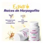 HSN Extracto de Harpagofito 25:1 400mg Garra del Diablo 120vcaps