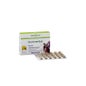 BONNE HERBE FORTE 60CPR BIOSLINE