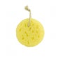 Beter Eponge naturelle petite imitation 1ud