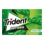 Trident Senses Rainforest Mint 12uts