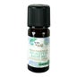 Born To Bio Huile Essentielle Eucalyptus Radié Bio 10 ml
