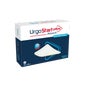 Urgostart Plus Absorb Non Substituable 15 cm x 20 cm 16 uts