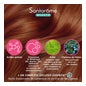 Santarome Sublimes Cheveux Anti Chute 30 Comprimés