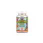 Kal dinosaurus Vitamine C-rex 100comp