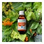 Herbalgem Energem Surcharge Mentale Bio 30ml